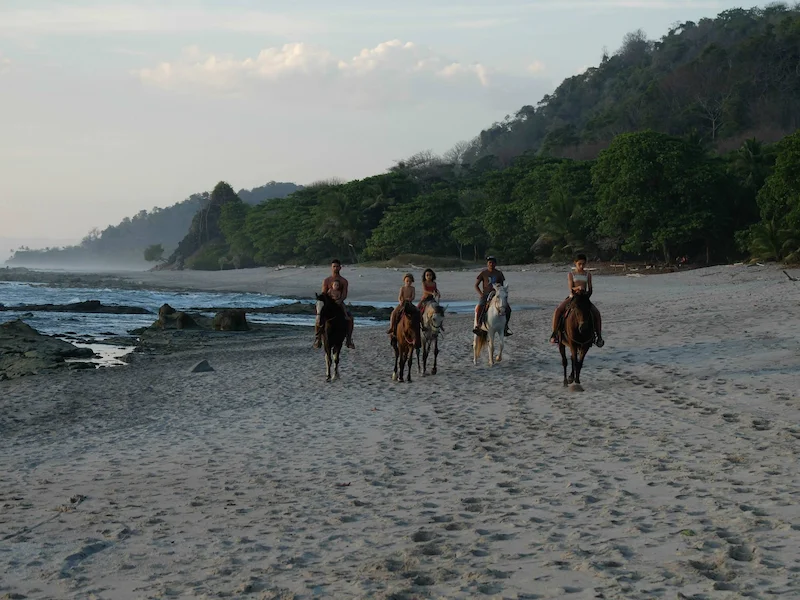 Cavalli sulla spiaggia
