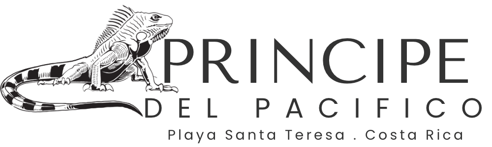 Principe del Pacifico - rent apartments in playa santa teresa costa rica